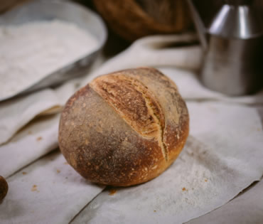 Panificio artigianale PAVIB, Vibonati Cilento